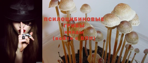 ПСИЛОЦИБИНОВЫЕ ГРИБЫ Каменногорск