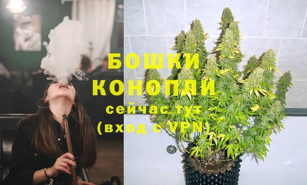 ПСИЛОЦИБИНОВЫЕ ГРИБЫ Каменногорск