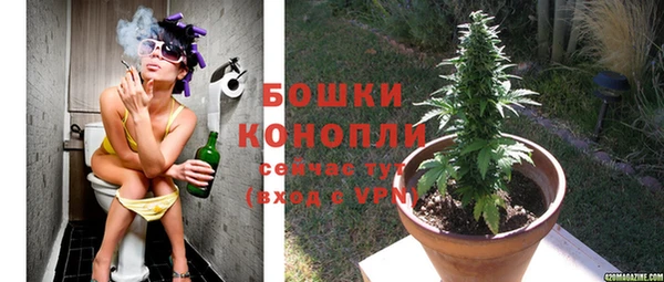 ПСИЛОЦИБИНОВЫЕ ГРИБЫ Каменногорск