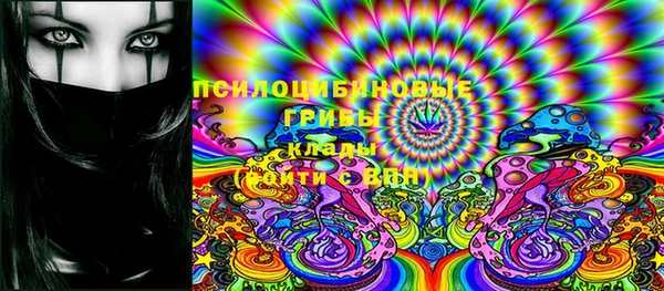 ПСИЛОЦИБИНОВЫЕ ГРИБЫ Каменногорск