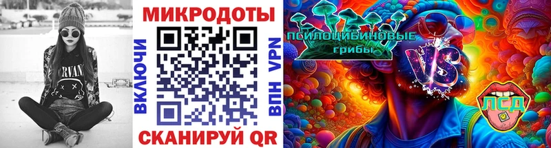 Купить закладки  Дмитров  Галлюциногенные грибы MAGIC MUSHROOMS 