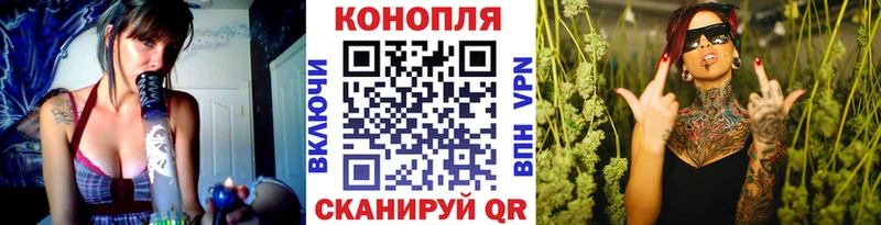 Купить где  Дмитров  Шишки марихуана ГИДРОПОН 